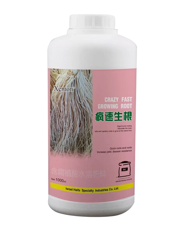 瘋速生根
